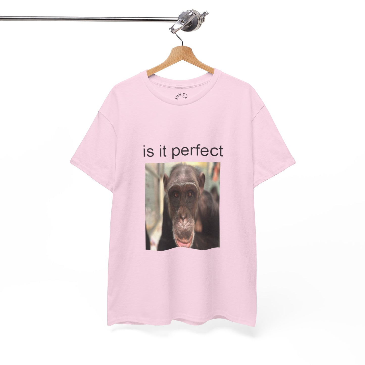 perfect t-shirt