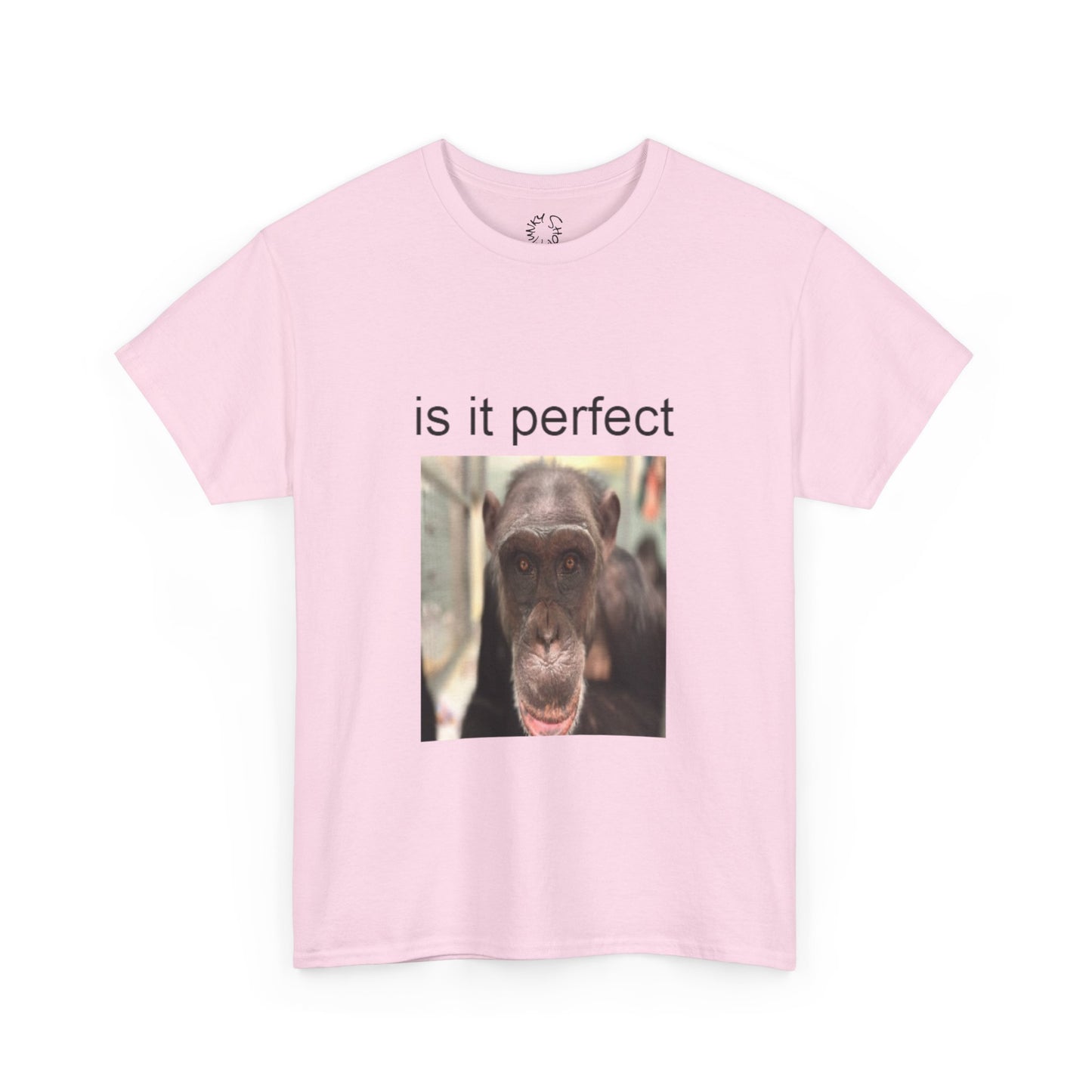 perfect t-shirt