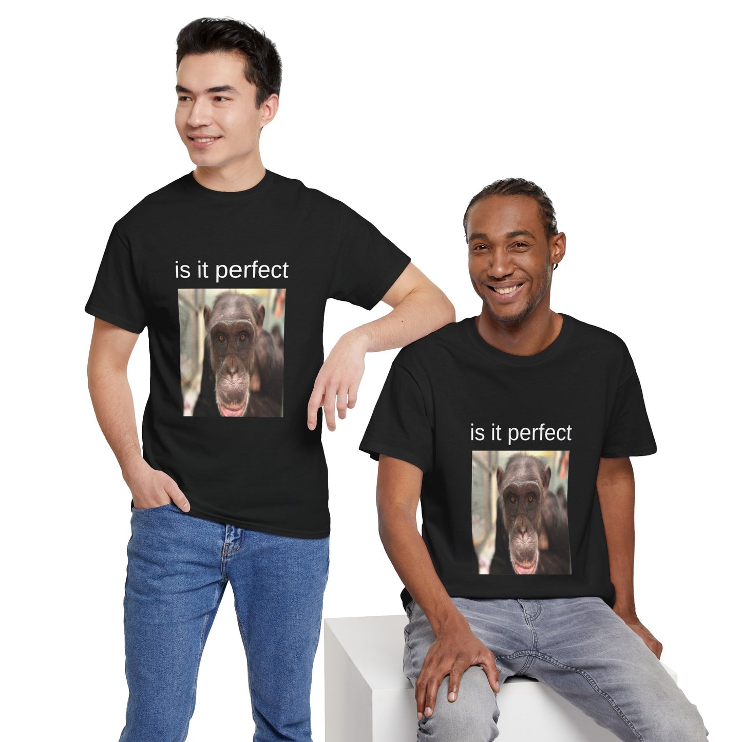 perfect t-shirt