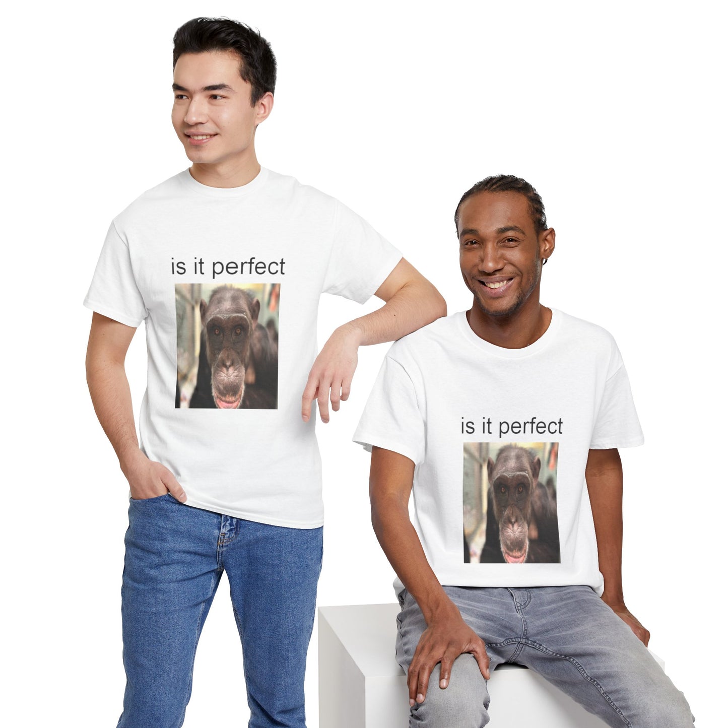 perfect t-shirt