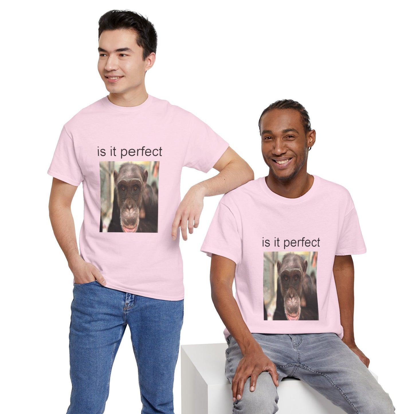 perfect t-shirt