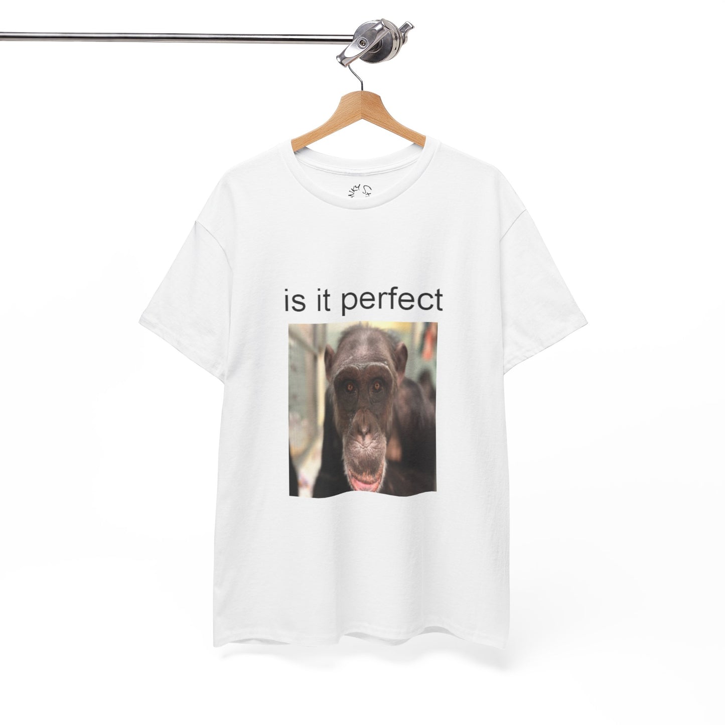 perfect t-shirt
