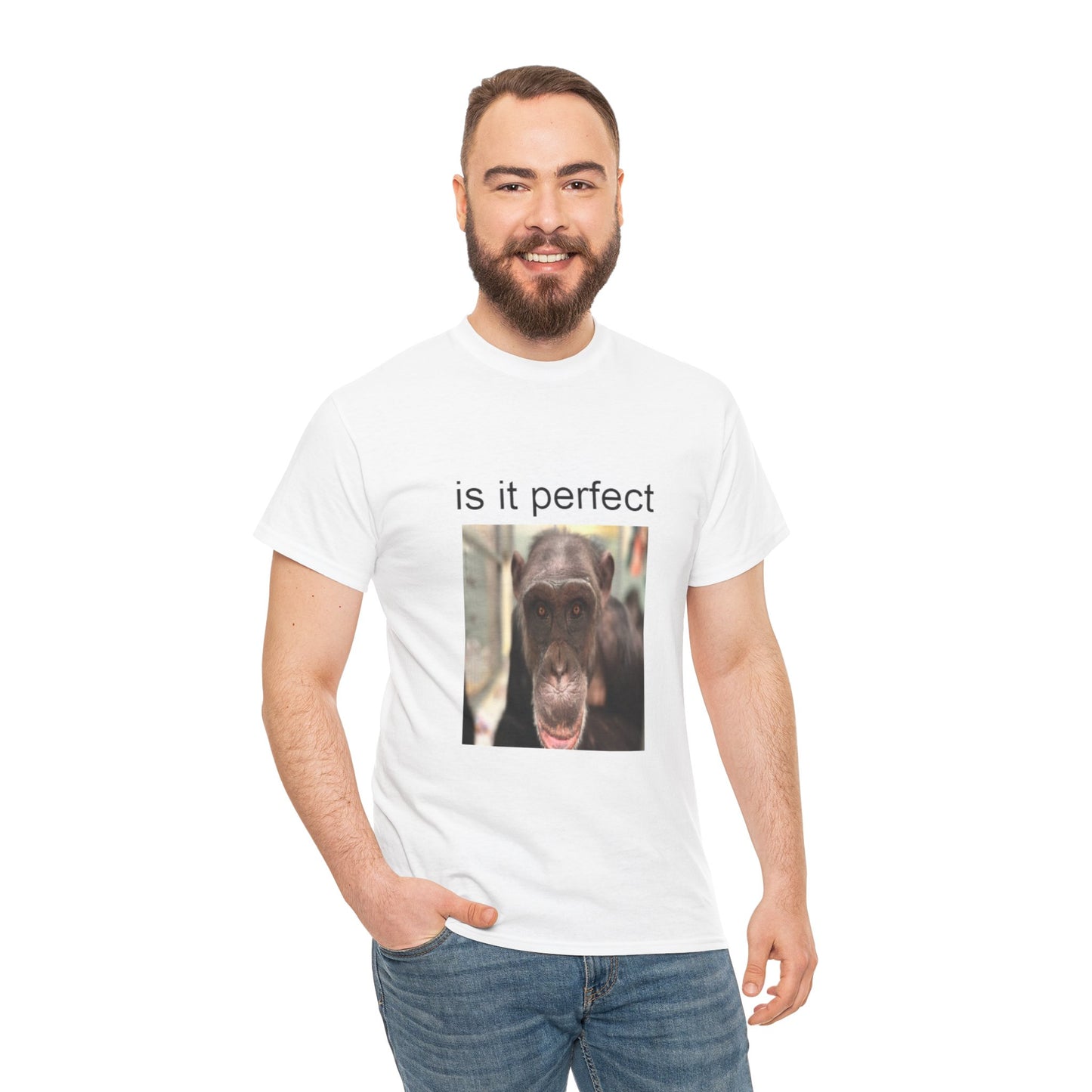 perfect t-shirt