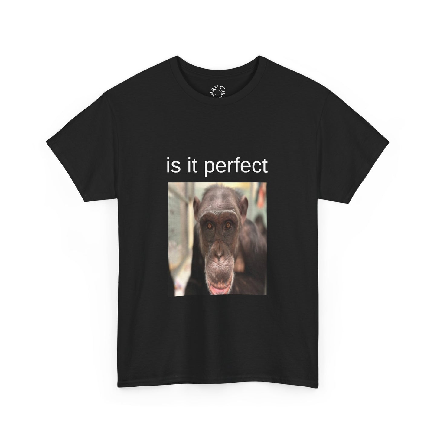 perfect t-shirt