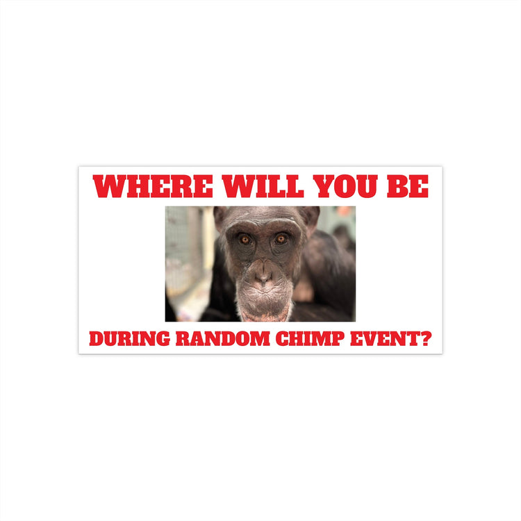 random chimp event 2025