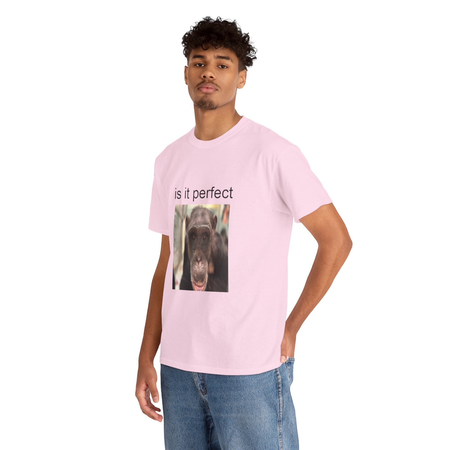 perfect t-shirt
