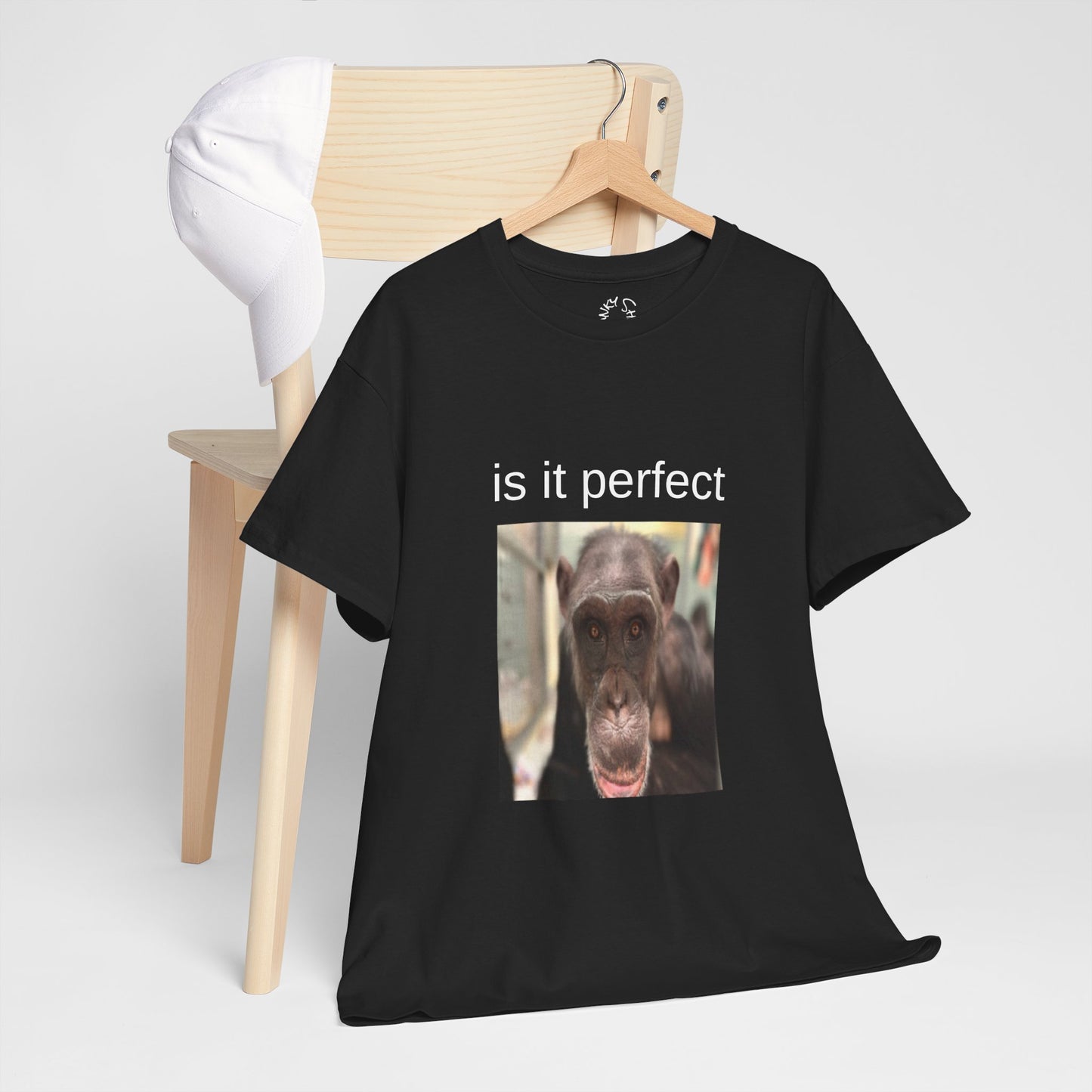 perfect t-shirt