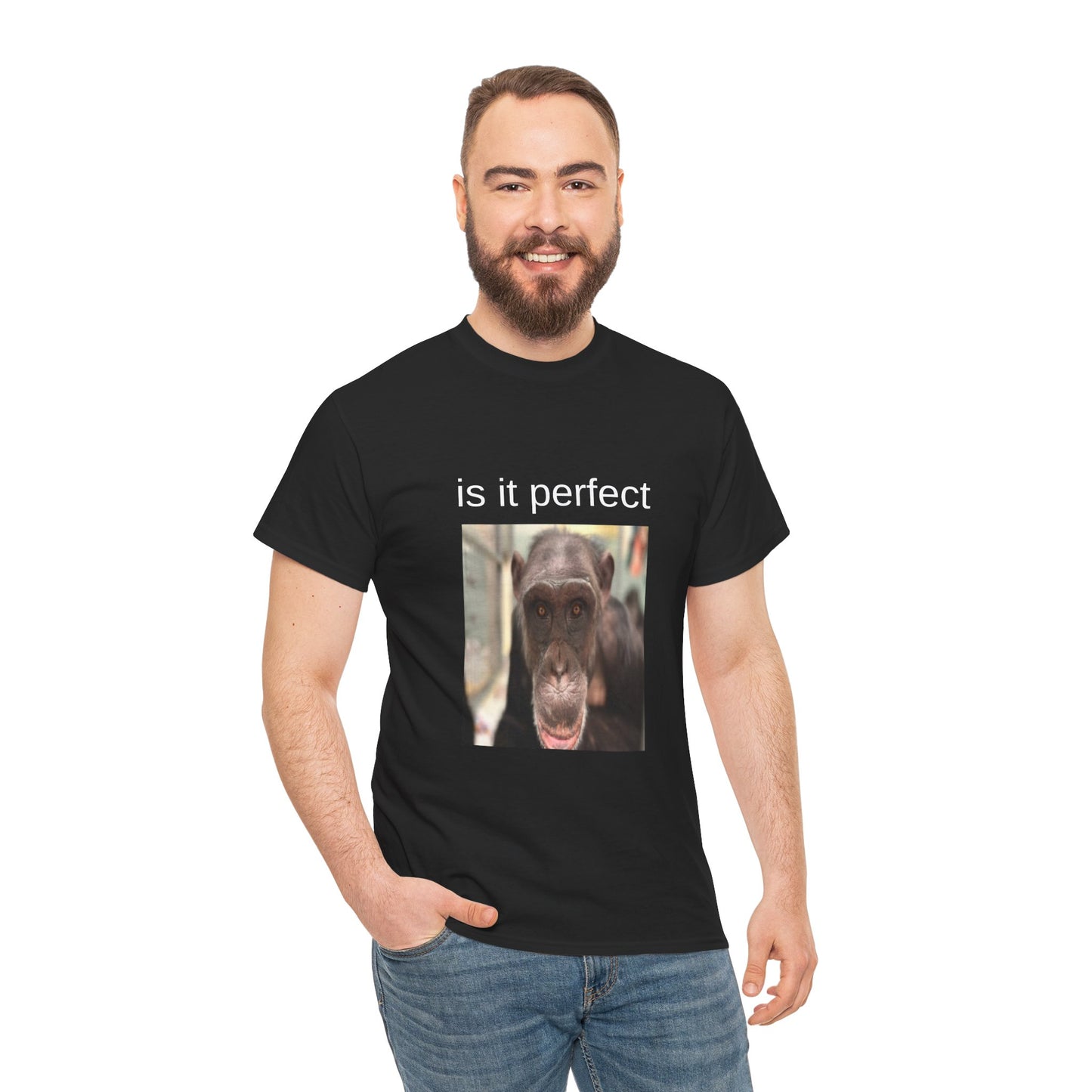 perfect t-shirt
