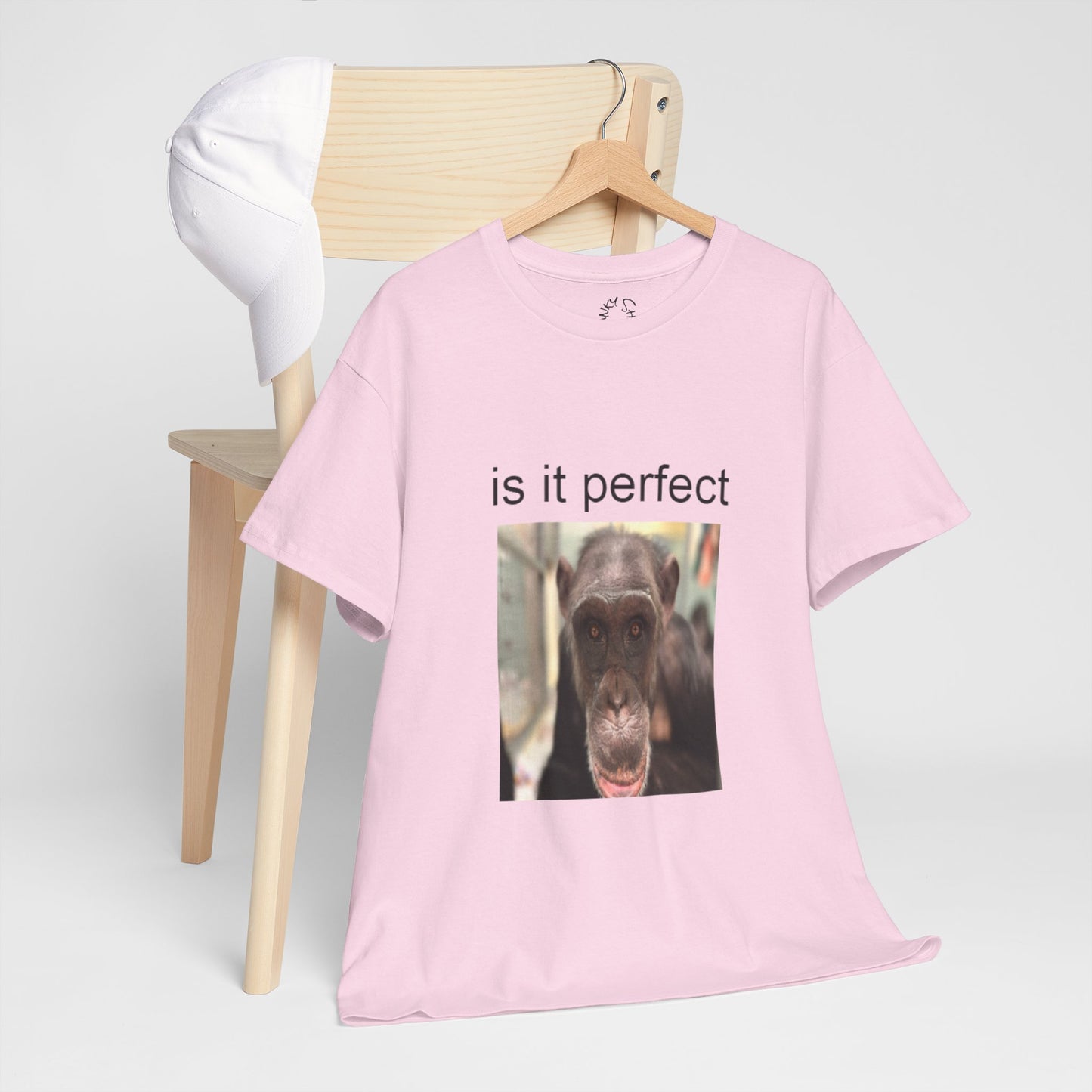perfect t-shirt