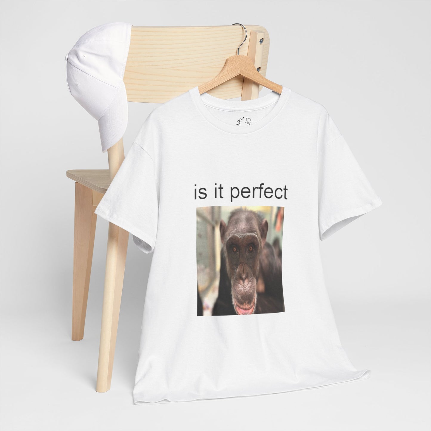 perfect t-shirt
