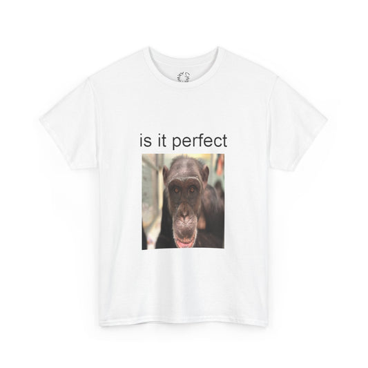 perfect t-shirt